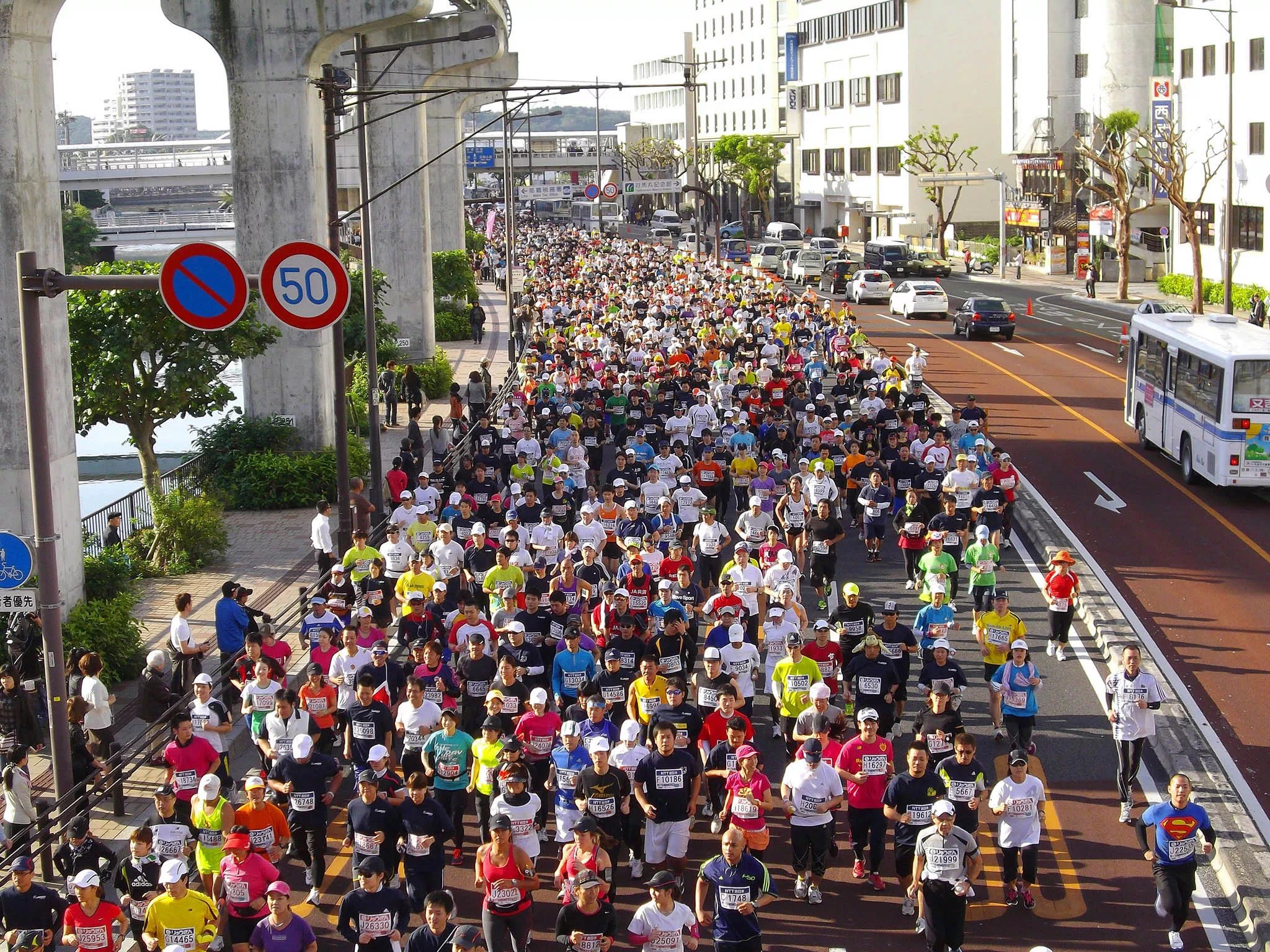 🌳 오노야마 공원(오우노야마 코엔) 이미지 9